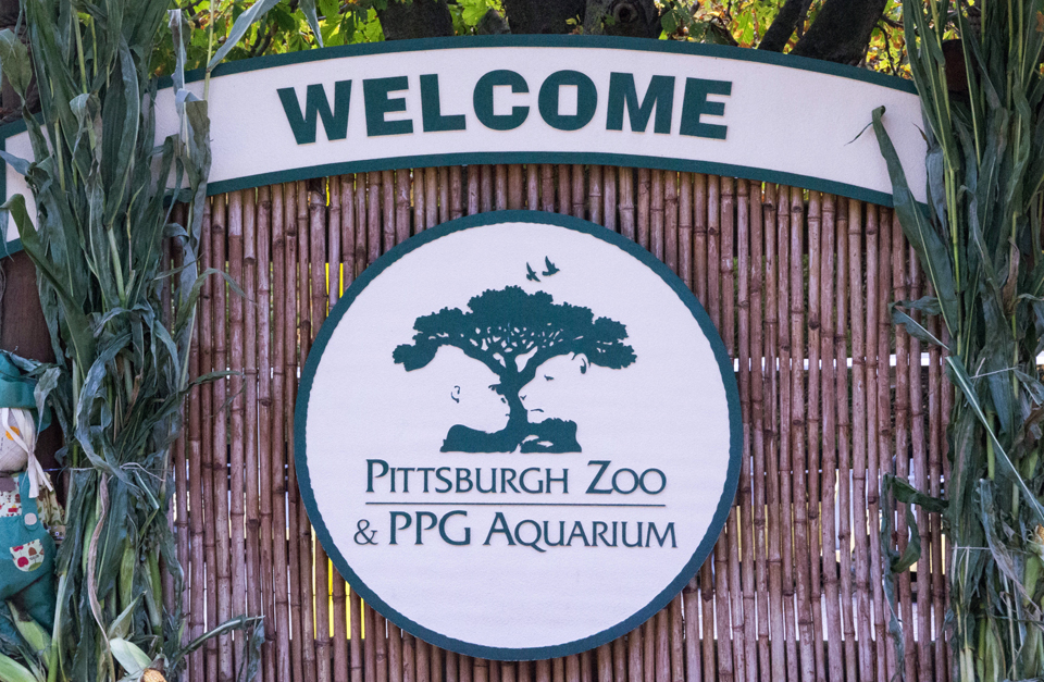 Features – zoo entrance