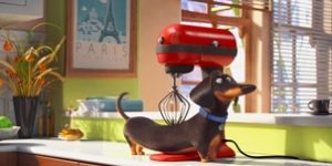 Photo Courtesy of Illumination Studios 'The Secret Life of Pets' fell short of the promise of its star-studded cast.
